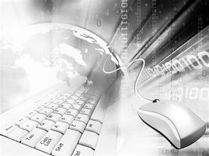 世貿(mào)組織就信息技術(shù)產(chǎn)品達成里程碑式協(xié)議 信息技術(shù)協(xié)定擴圍 多項產(chǎn)品將免稅